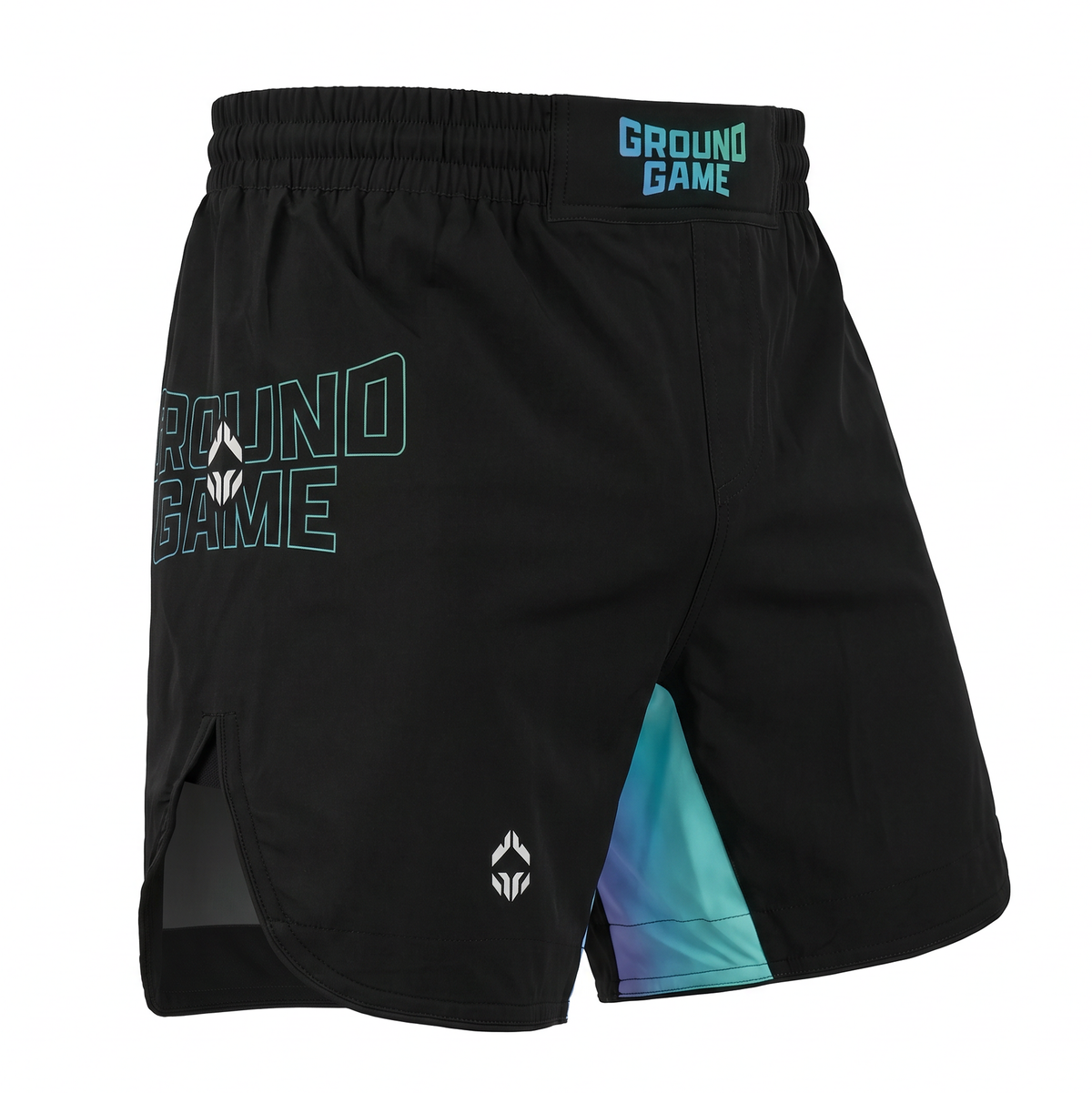 Light MMA Shorts Born 2 Bore