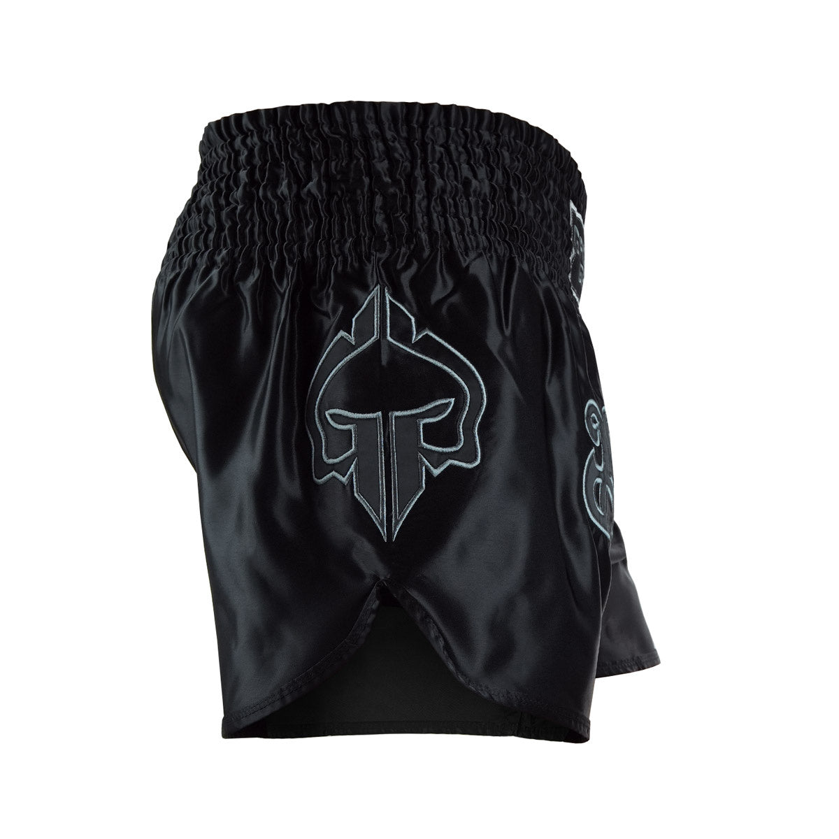 Muay Thai Shorts Shadow
