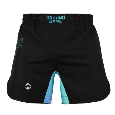Light MMA Shorts Born 2 Bore