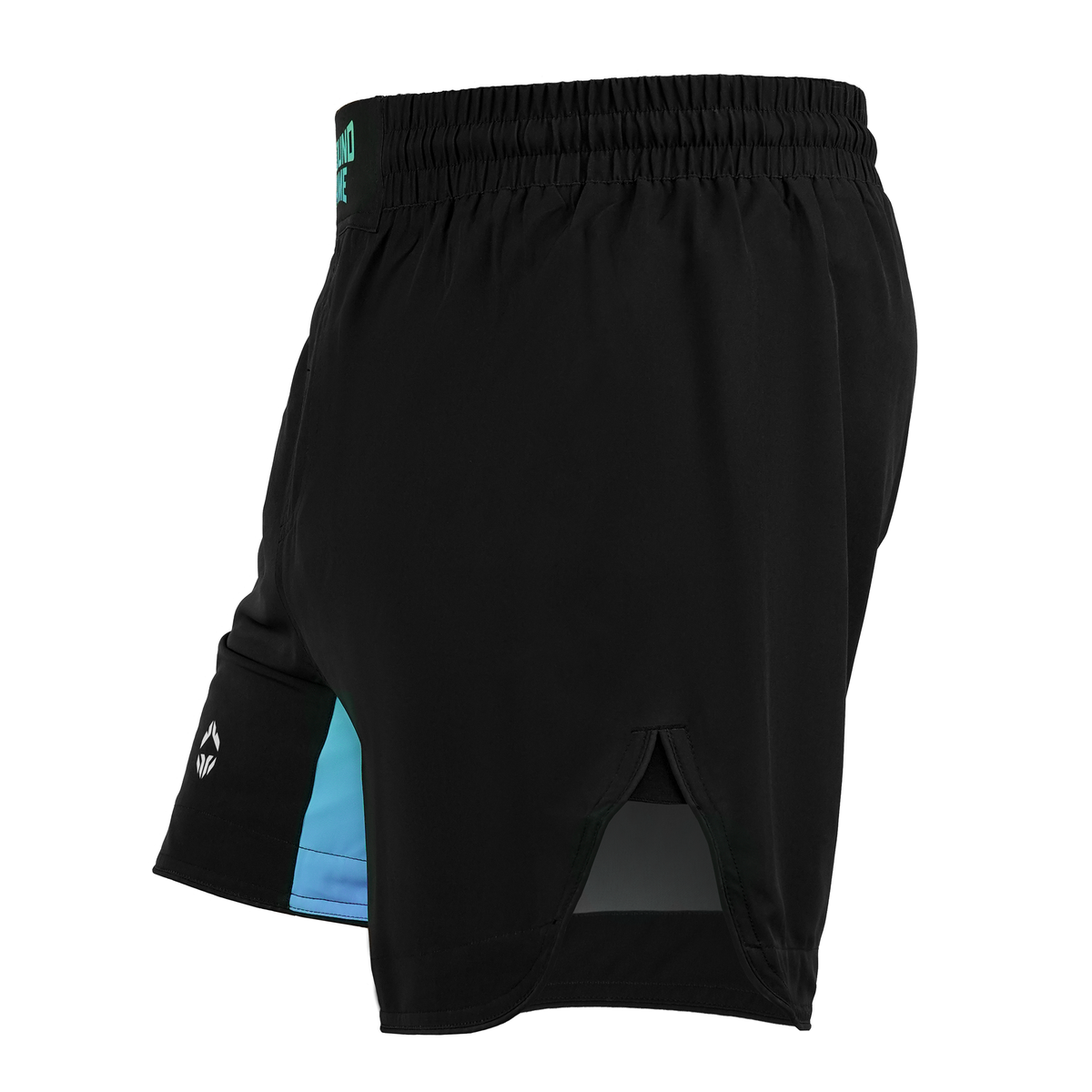Light MMA Shorts Born 2 Bore