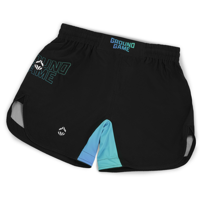 Light MMA Shorts Born 2 Bore
