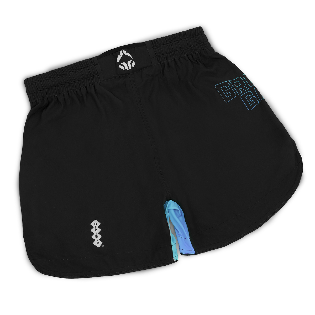 Light MMA Shorts Born 2 Bore