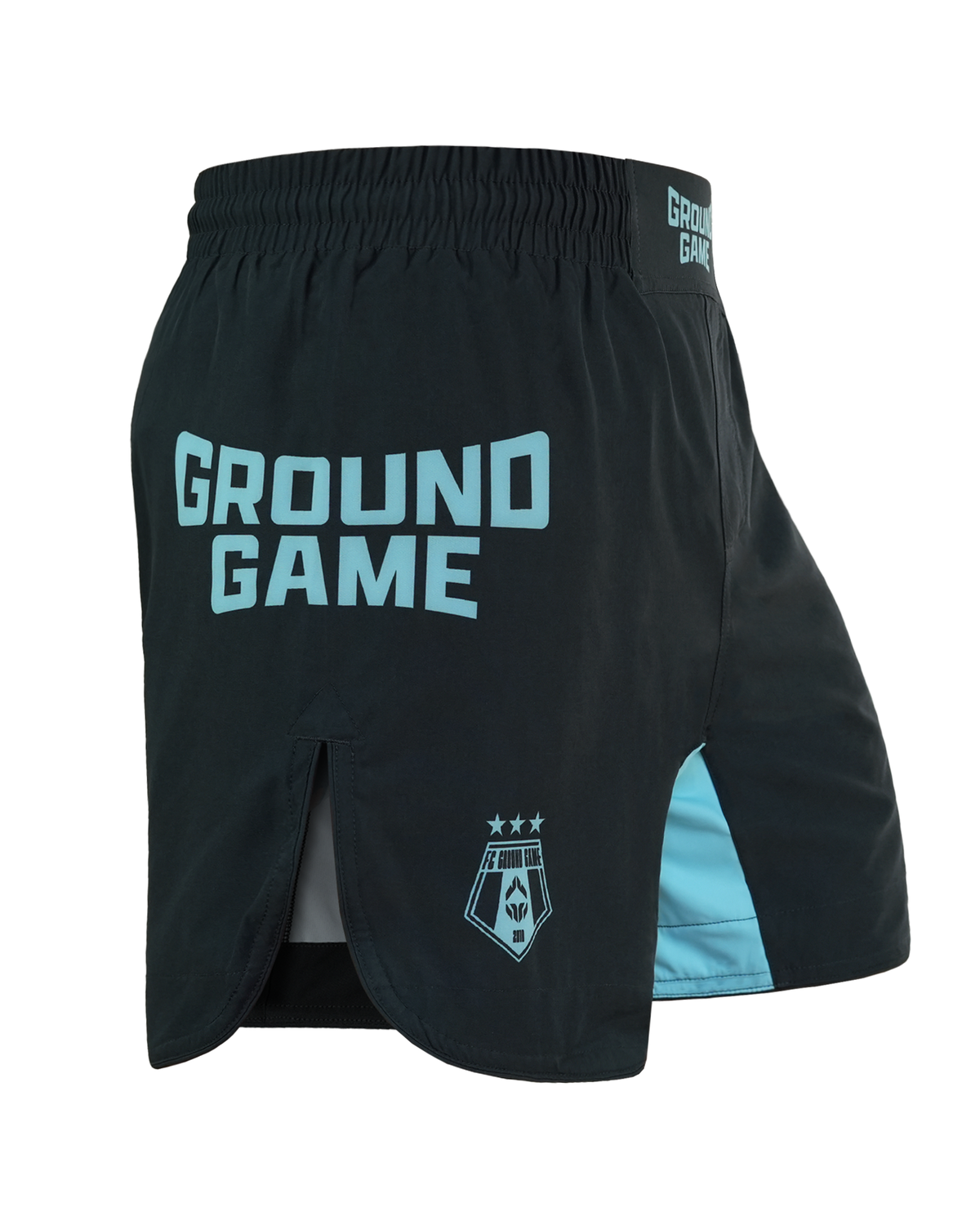 Light MMA Shorts FC Armbar (Mint)