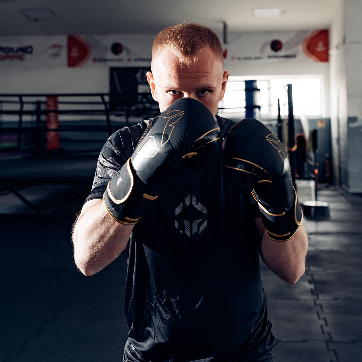 Boxing Gloves Logo 3.0 Gold