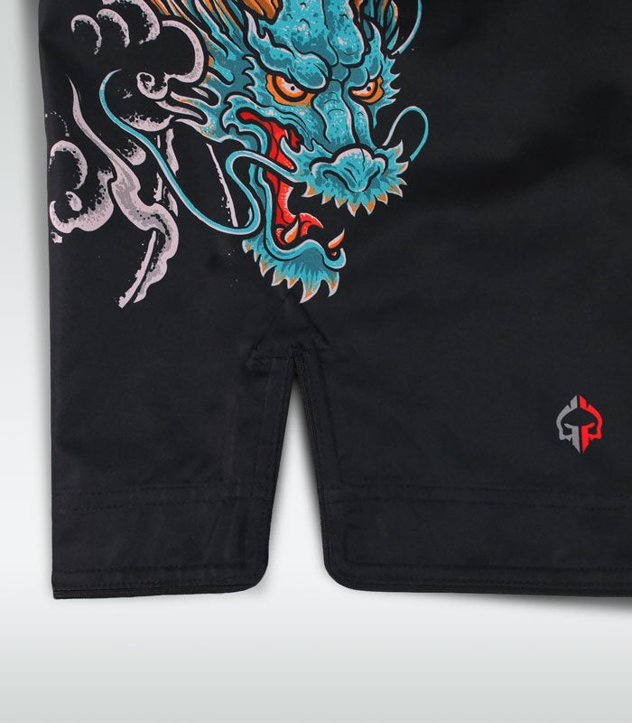 Spodenki MMA Bushido 3.0