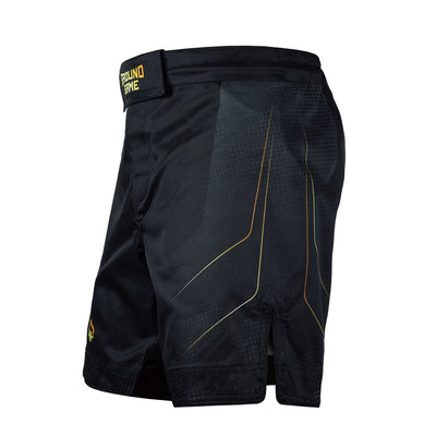 Spodenki MMA Gold 2.0