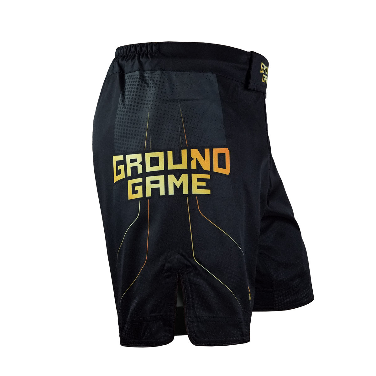 Spodenki MMA Gold 2.0