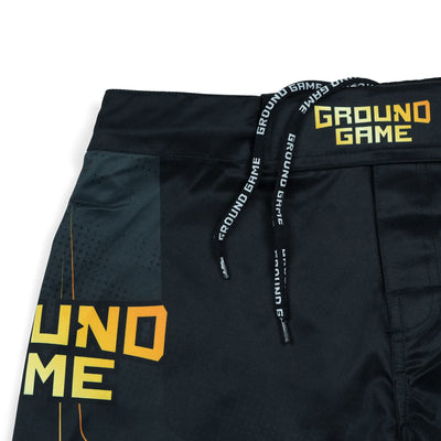 Spodenki MMA Gold 2.0