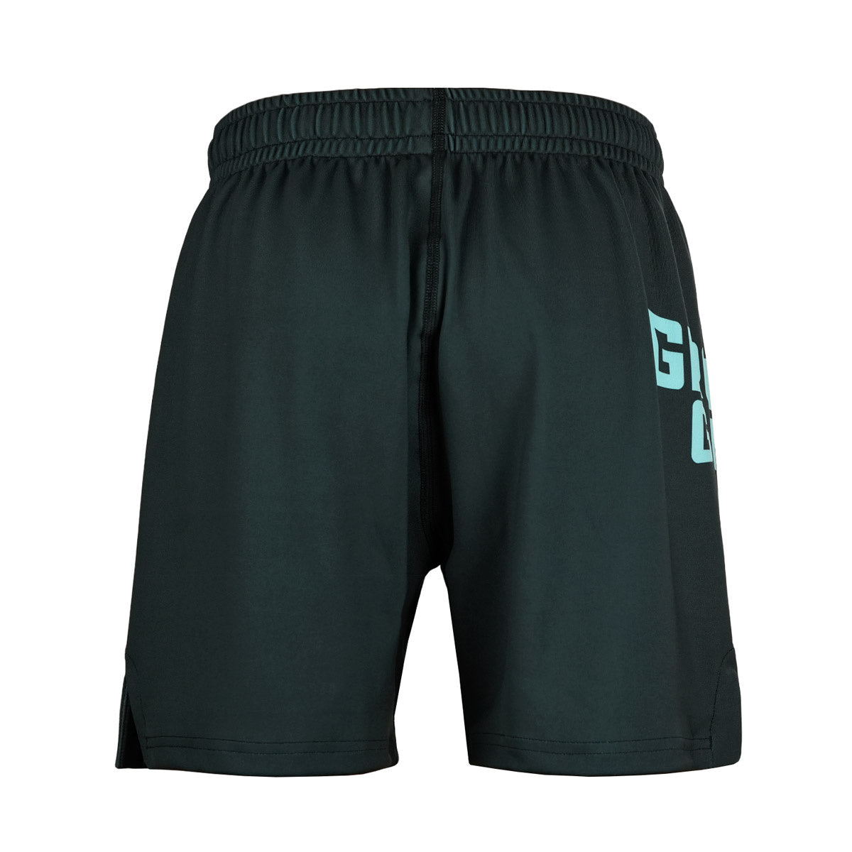 Kids' Training Shorts FC Armbar (Mint)
